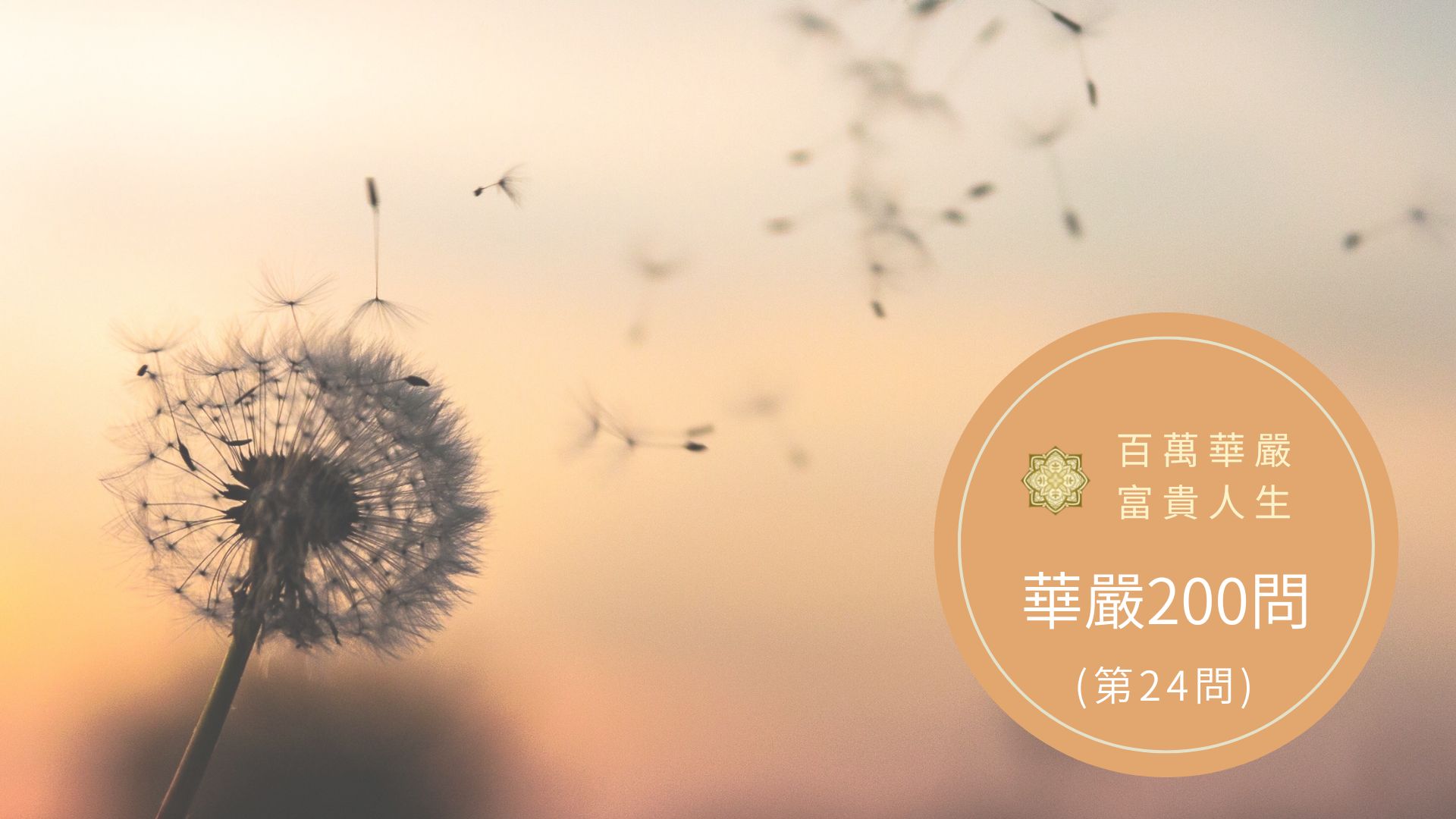 大方廣佛華嚴經－講解第24問