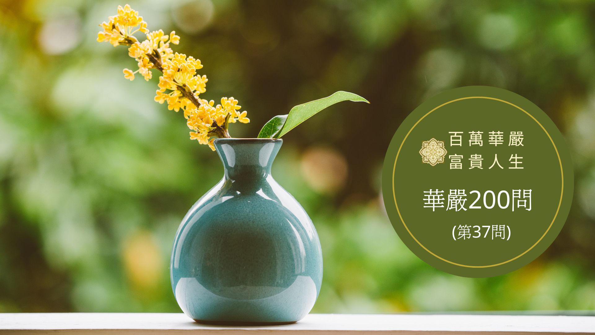 華嚴經【第38問】－何等為平等心？