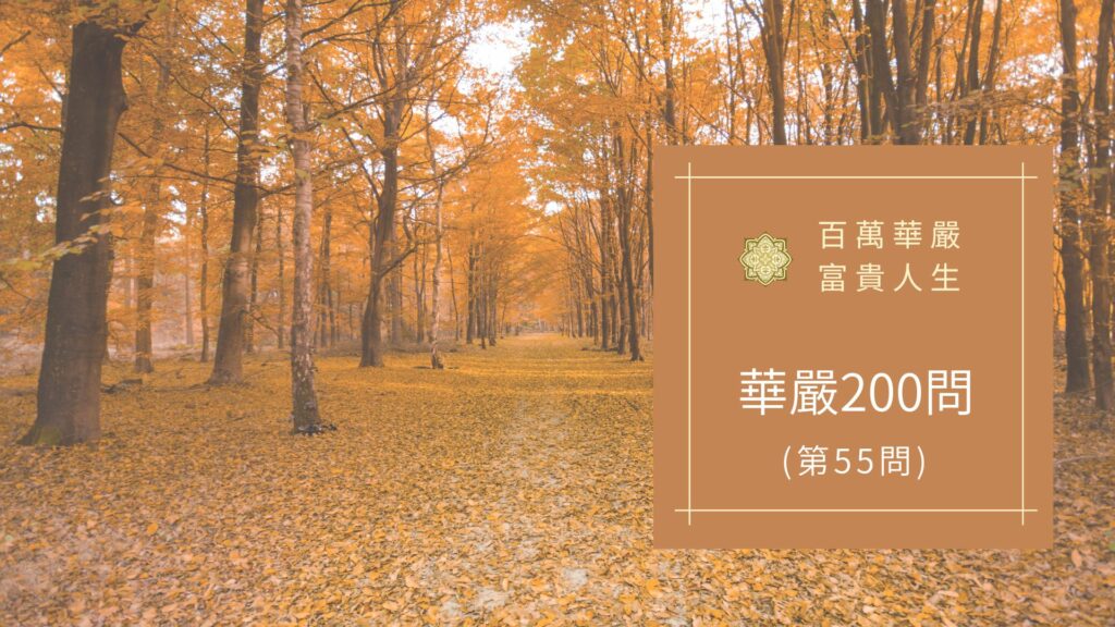 大方廣佛華嚴經八十華嚴(55問)：何等為解脫？