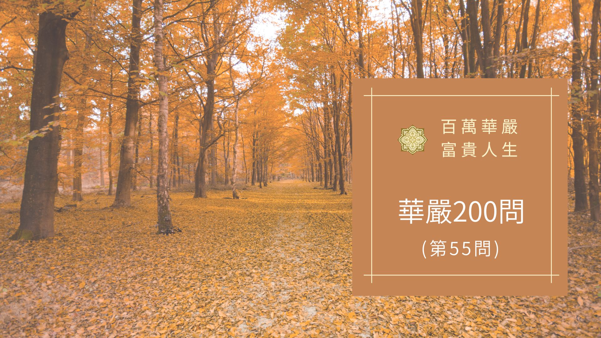 大方廣佛華嚴經八十華嚴(55問)：何等為解脫？