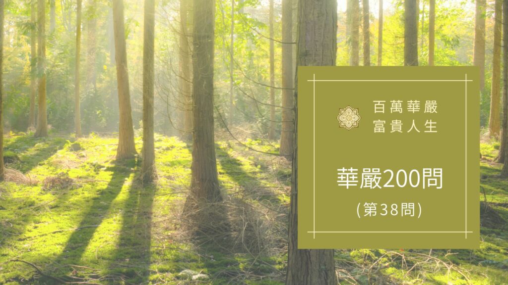 大方廣佛華嚴經【第38問】