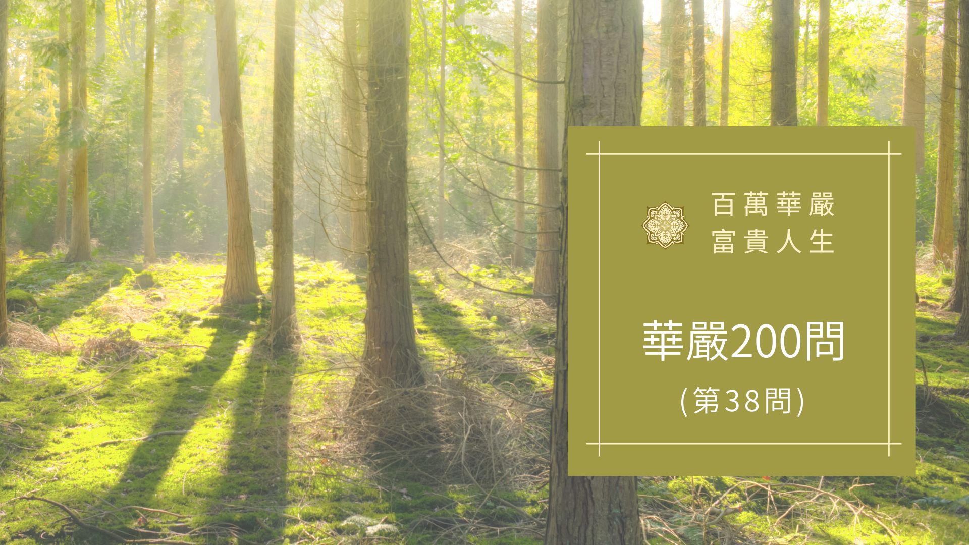 大方廣佛華嚴經【第38問】