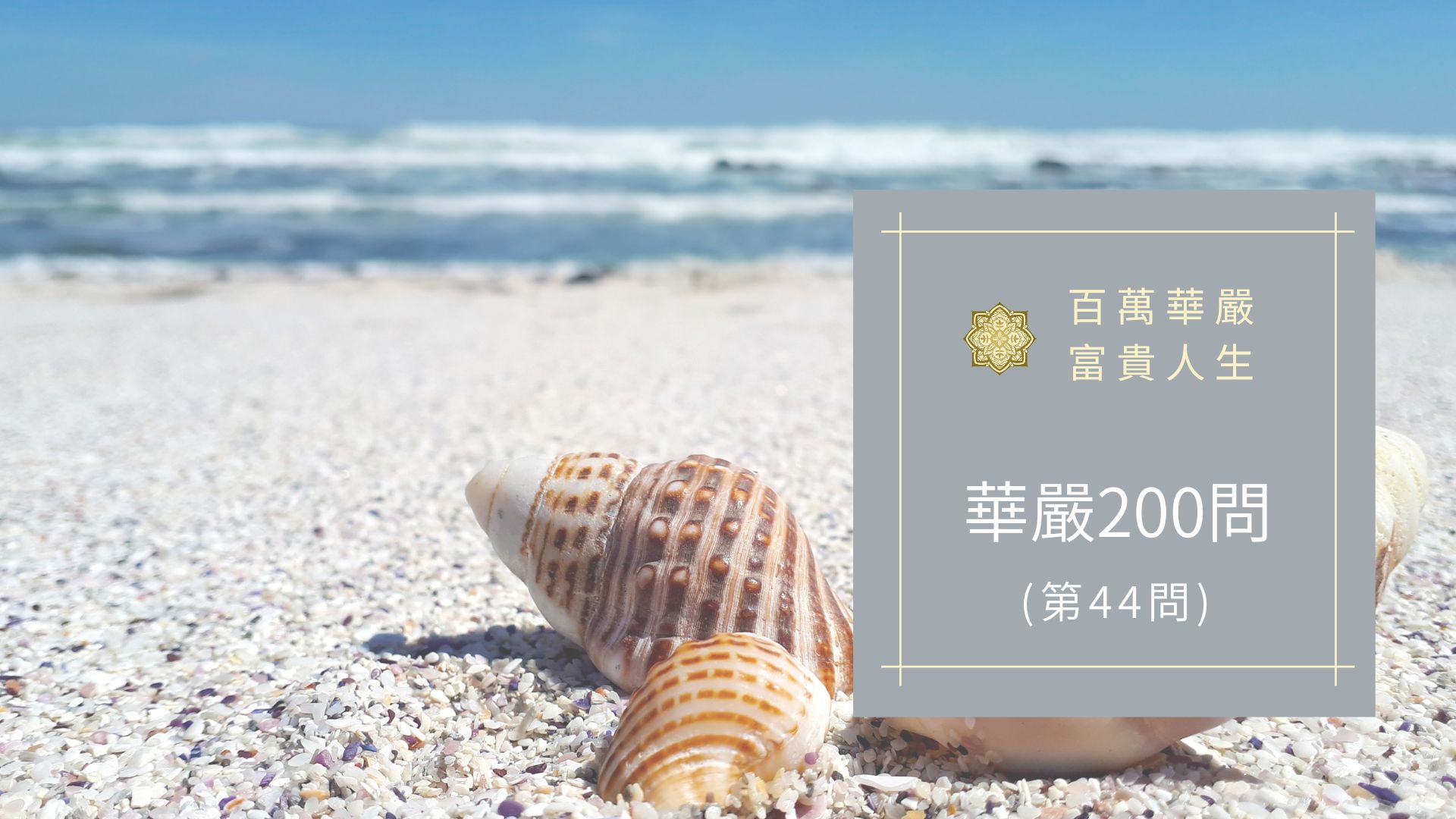 大方廣佛華嚴經第44問